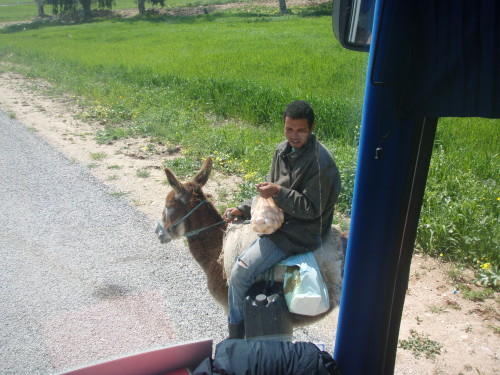 marchand d'oeufs sur son âne